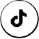 tiktok.png-icon